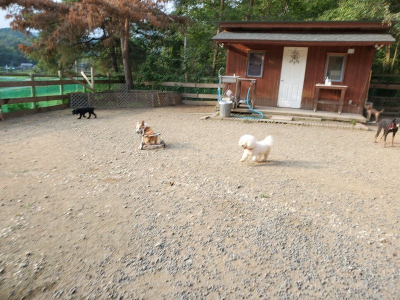f:id:roukenhome-ann:20191008111654j:plain