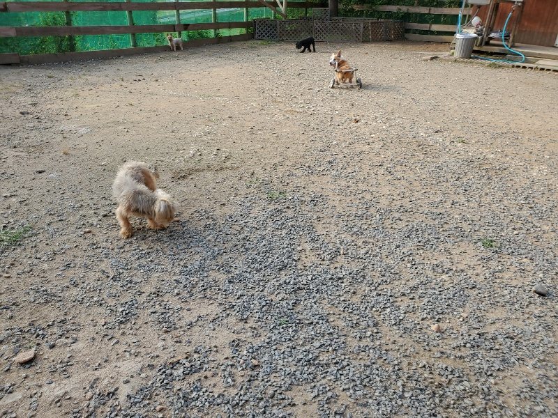 f:id:roukenhome-ann:20191008111702j:plain