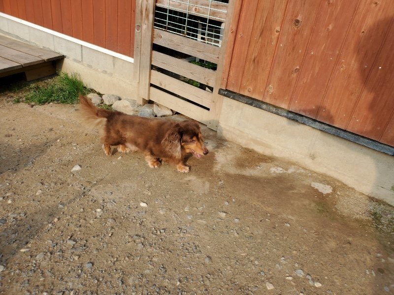 f:id:roukenhome-ann:20191008111708j:plain