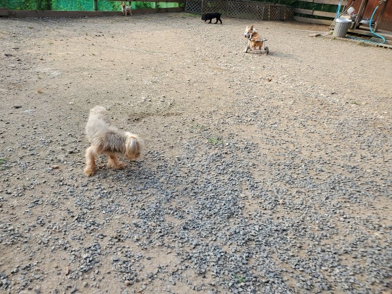 f:id:roukenhome-ann:20191008111716j:plain