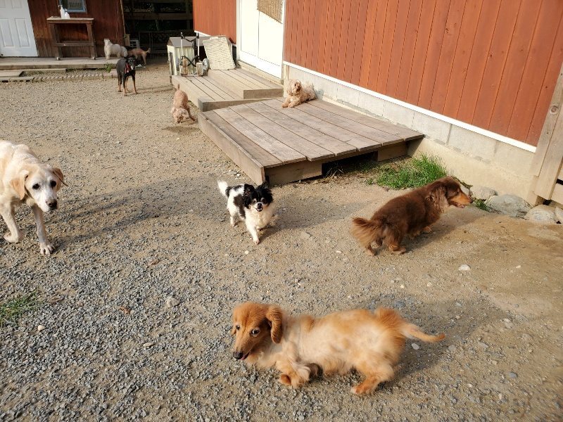 f:id:roukenhome-ann:20191008111738j:plain
