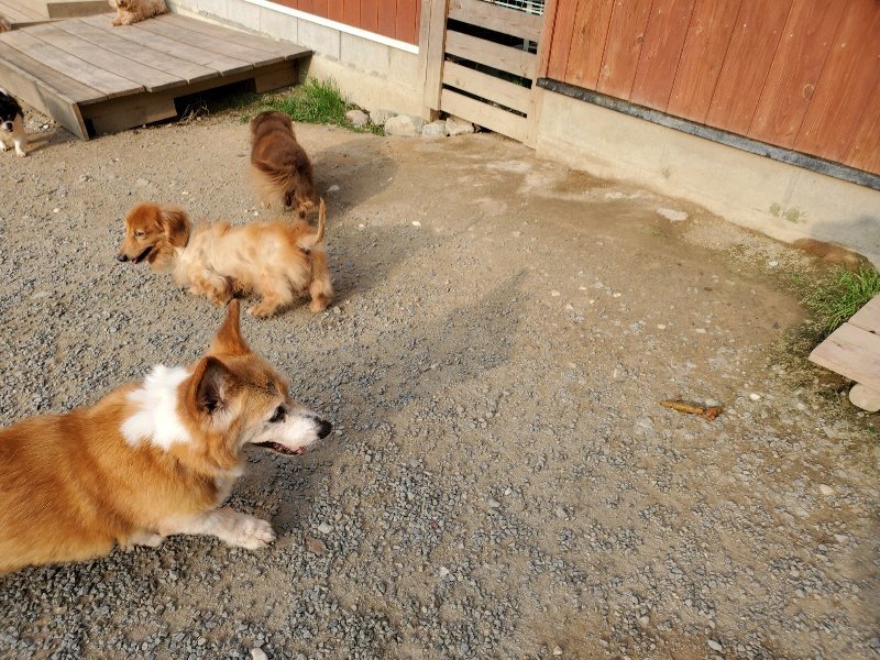 f:id:roukenhome-ann:20191008111744j:plain