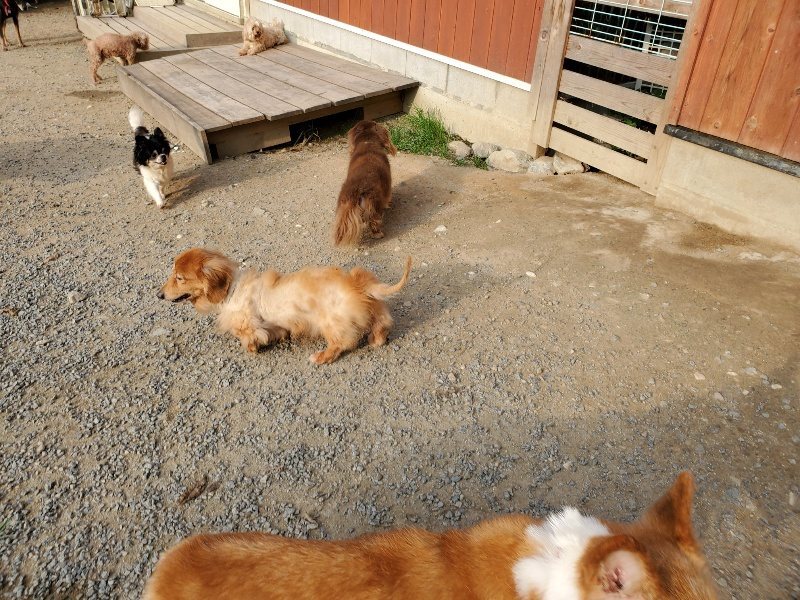 f:id:roukenhome-ann:20191008111750j:plain