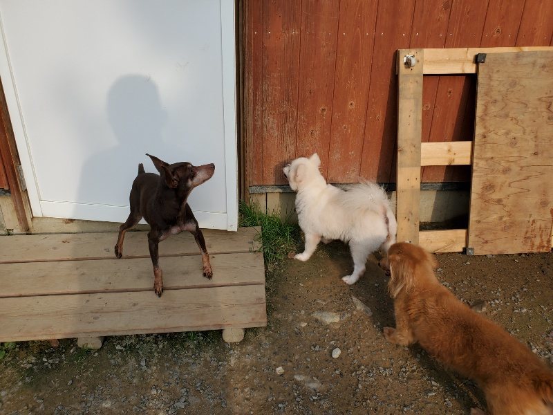 f:id:roukenhome-ann:20191008111755j:plain