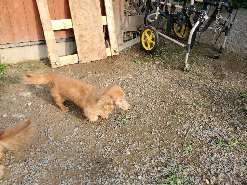 f:id:roukenhome-ann:20191008111809j:plain
