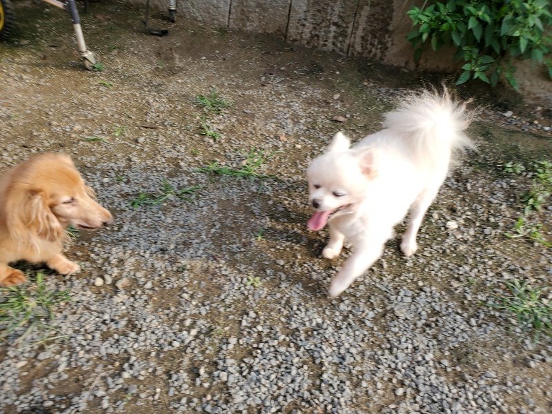 f:id:roukenhome-ann:20191008111816j:plain