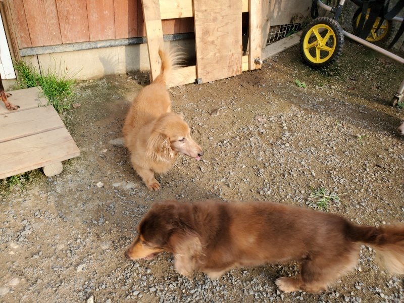 f:id:roukenhome-ann:20191008111822j:plain