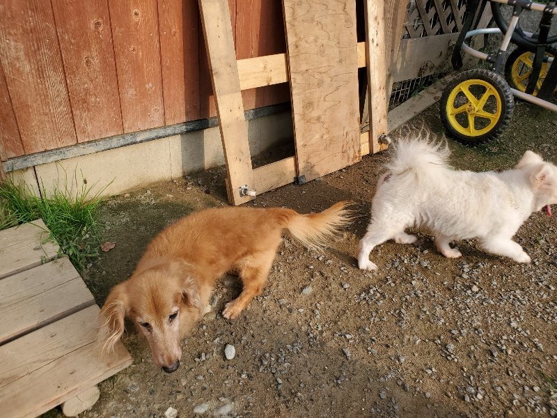 f:id:roukenhome-ann:20191008111828j:plain