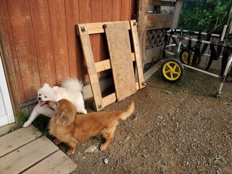 f:id:roukenhome-ann:20191008111836j:plain
