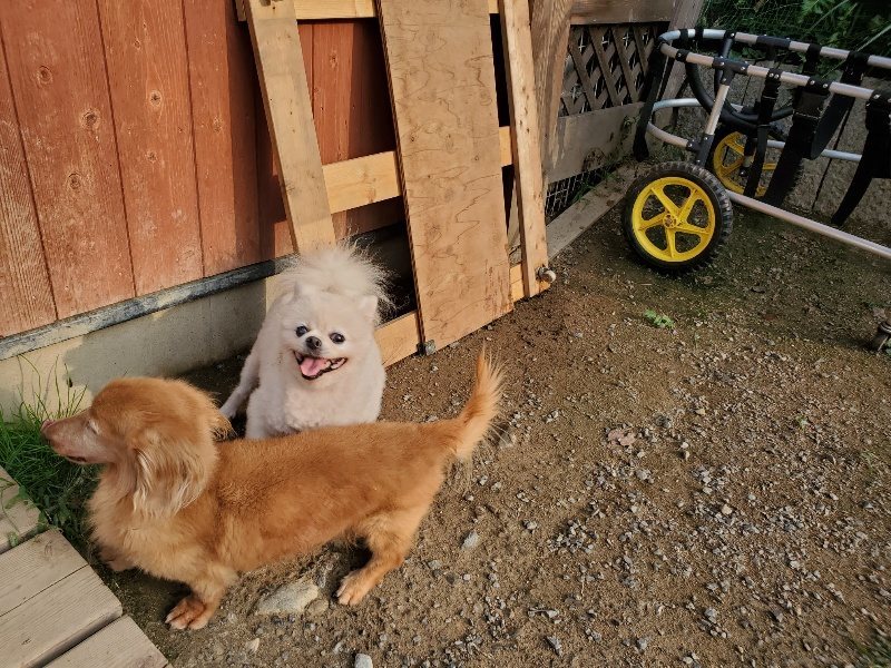 f:id:roukenhome-ann:20191008111841j:plain
