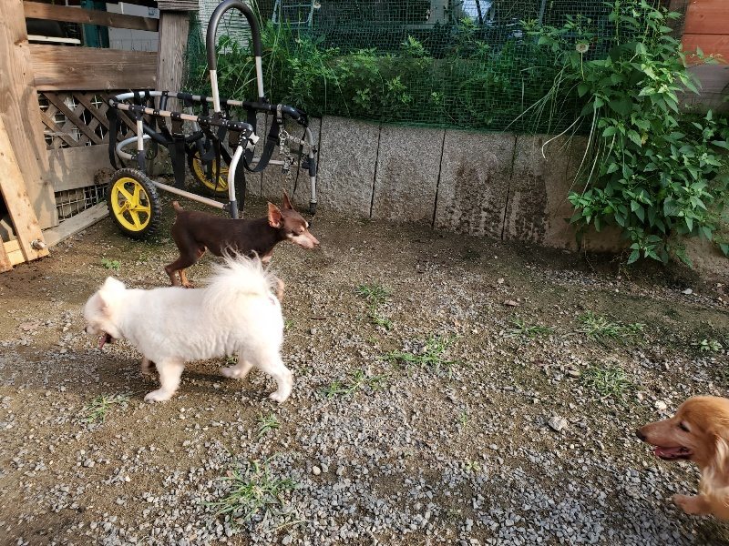 f:id:roukenhome-ann:20191008112258j:plain
