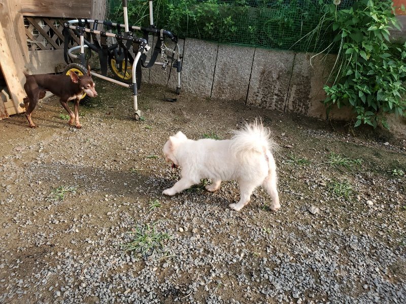 f:id:roukenhome-ann:20191008112304j:plain