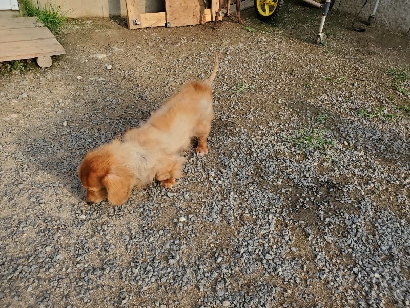 f:id:roukenhome-ann:20191008112319j:plain