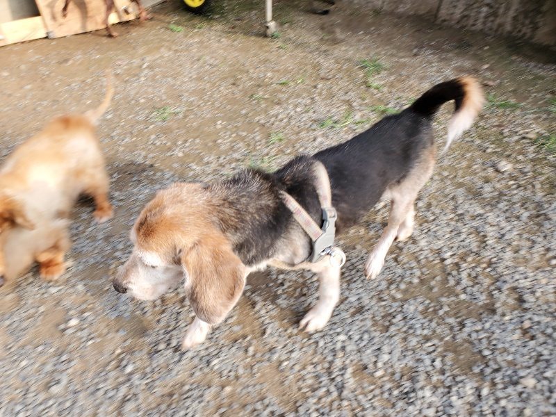 f:id:roukenhome-ann:20191008112324j:plain