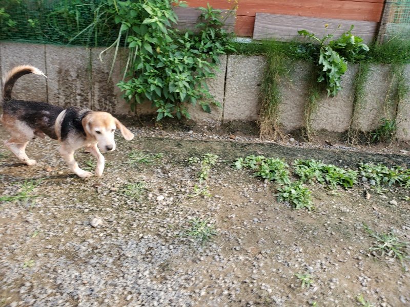 f:id:roukenhome-ann:20191008112331j:plain