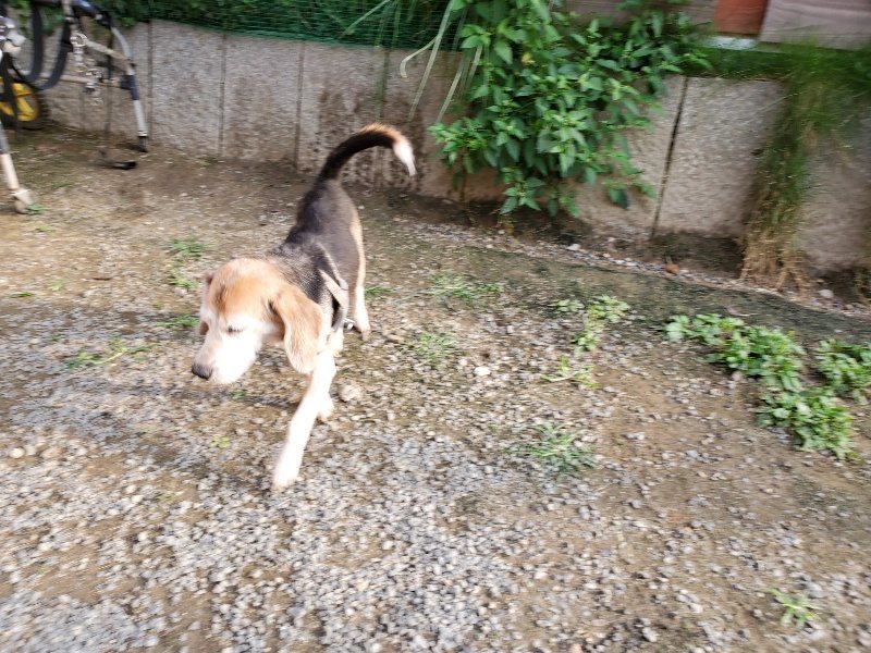 f:id:roukenhome-ann:20191008112336j:plain