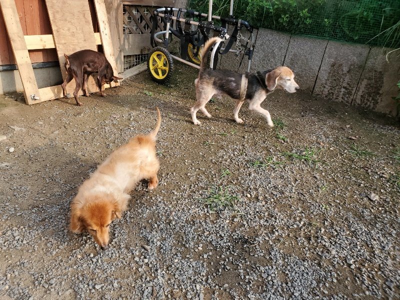 f:id:roukenhome-ann:20191008112344j:plain