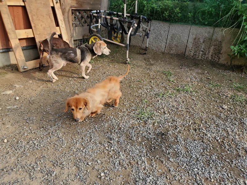 f:id:roukenhome-ann:20191008112352j:plain