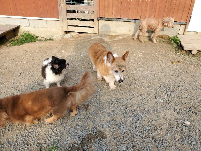 f:id:roukenhome-ann:20191008112357j:plain