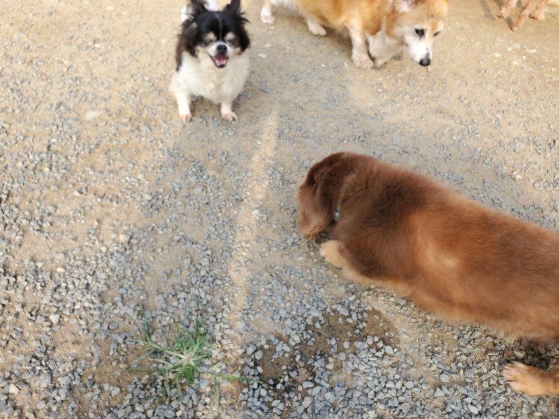 f:id:roukenhome-ann:20191008112402j:plain