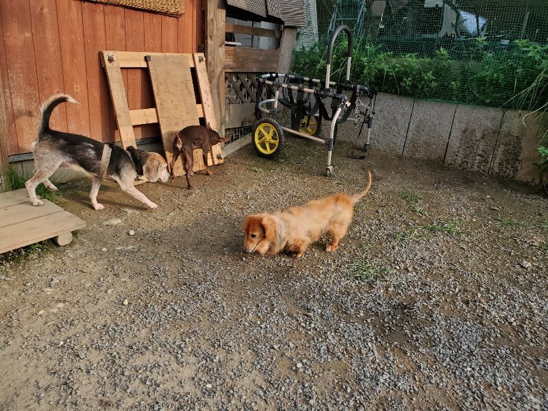 f:id:roukenhome-ann:20191008112408j:plain