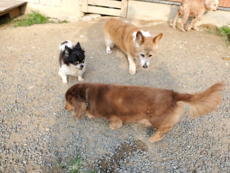 f:id:roukenhome-ann:20191008112415j:plain