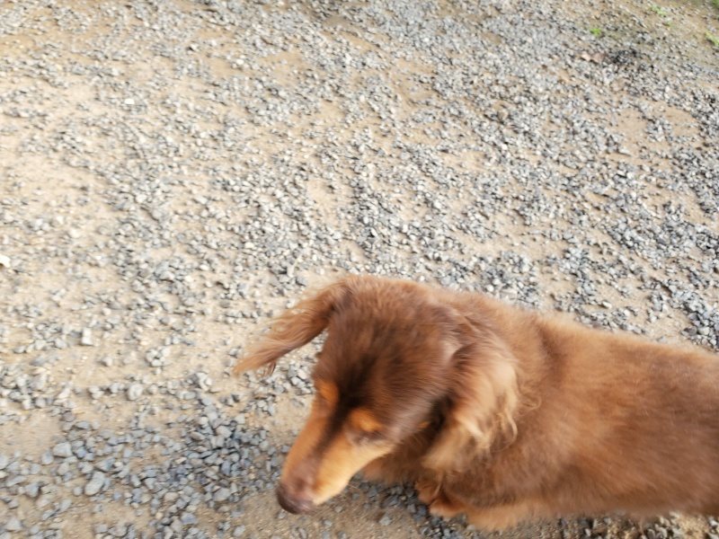 f:id:roukenhome-ann:20191008112421j:plain