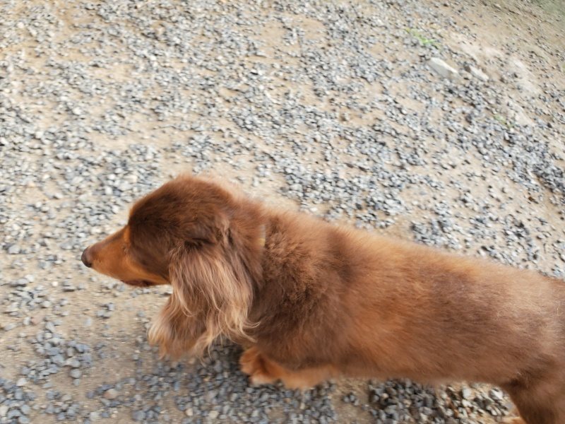 f:id:roukenhome-ann:20191008112432j:plain