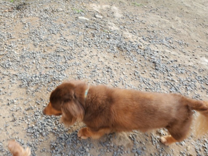 f:id:roukenhome-ann:20191008112440j:plain