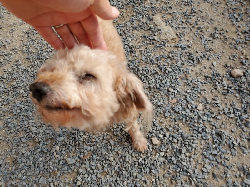 f:id:roukenhome-ann:20191008112447j:plain