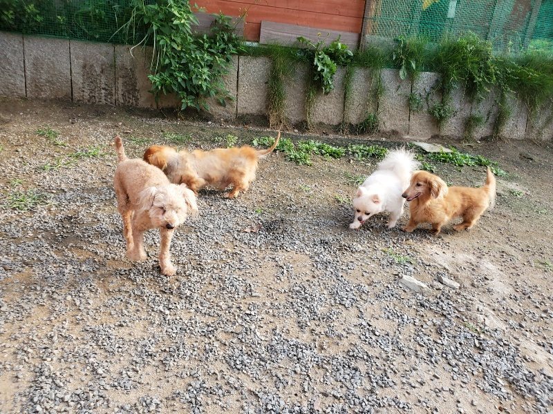 f:id:roukenhome-ann:20191008112459j:plain