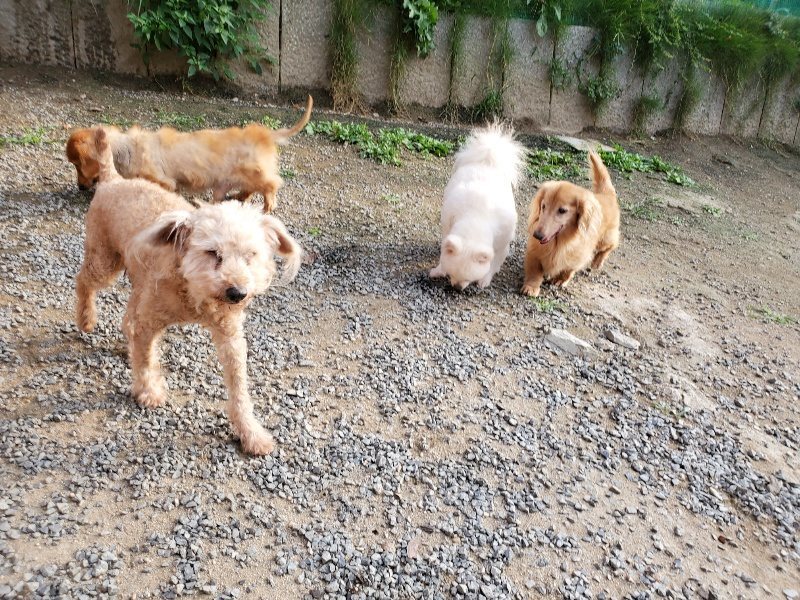 f:id:roukenhome-ann:20191008112507j:plain