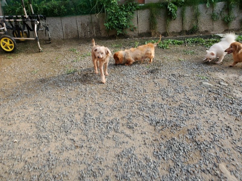 f:id:roukenhome-ann:20191008112515j:plain