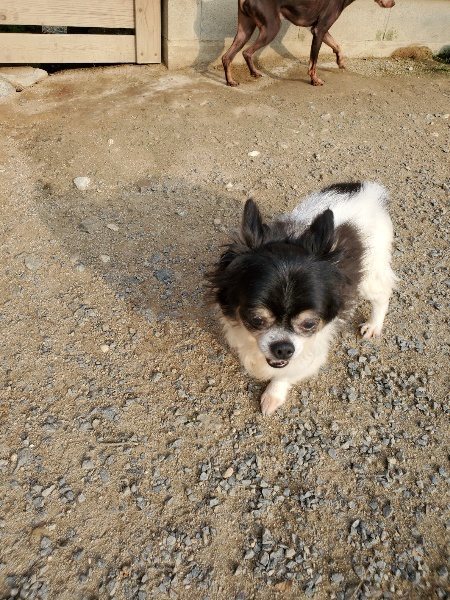 f:id:roukenhome-ann:20191008112531j:plain