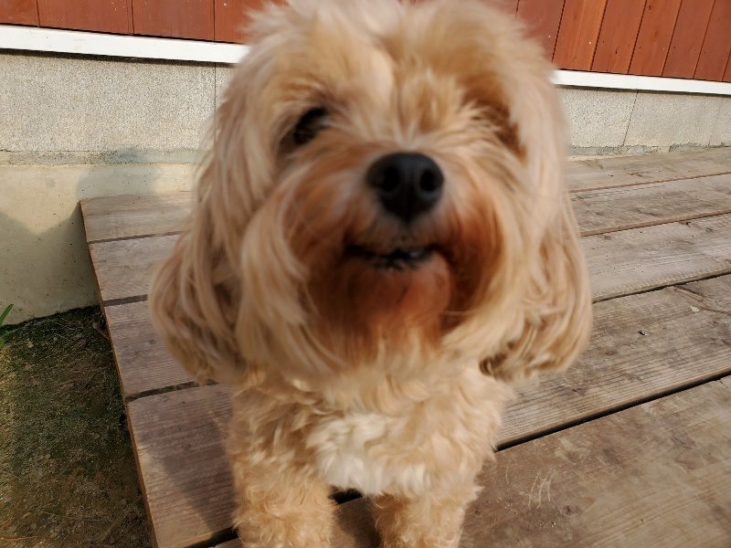 f:id:roukenhome-ann:20191008112802j:plain