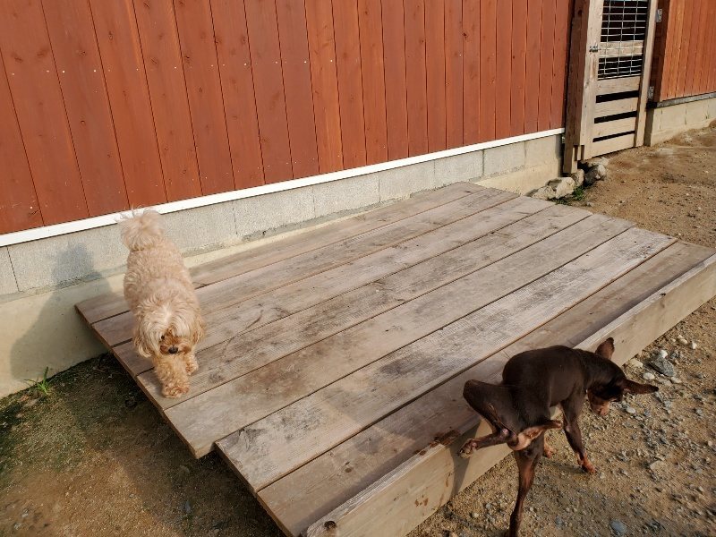 f:id:roukenhome-ann:20191008112821j:plain