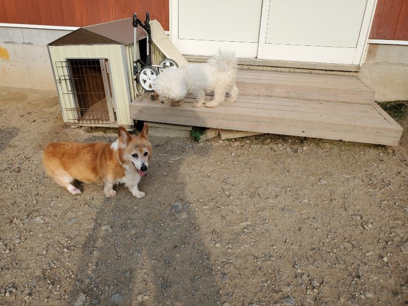 f:id:roukenhome-ann:20191008112828j:plain