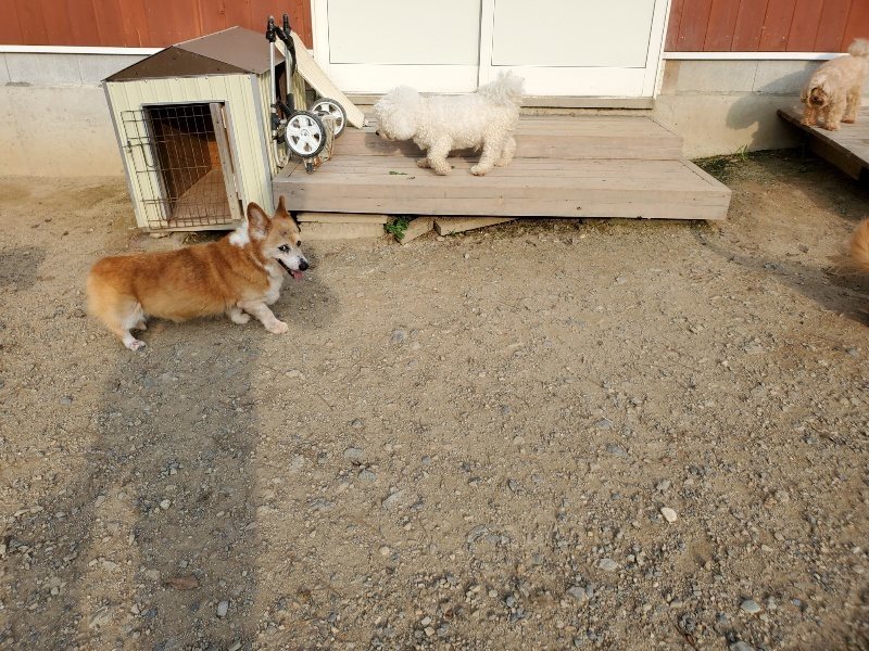 f:id:roukenhome-ann:20191008112834j:plain