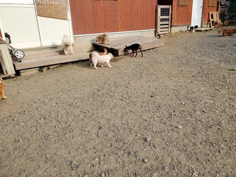 f:id:roukenhome-ann:20191008112846j:plain