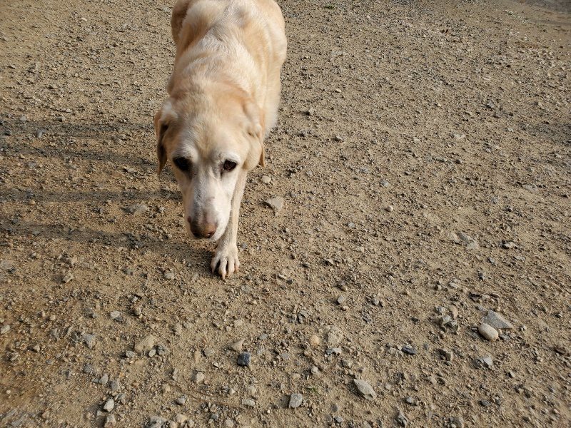 f:id:roukenhome-ann:20191008112908j:plain