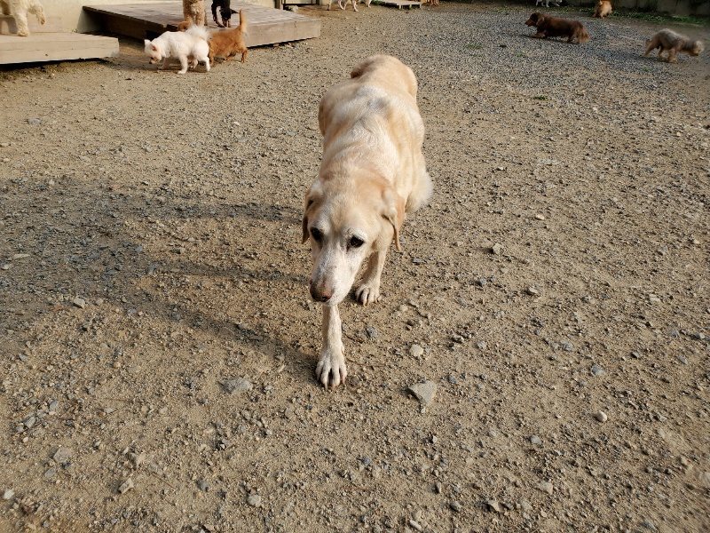 f:id:roukenhome-ann:20191008112923j:plain