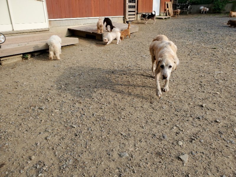 f:id:roukenhome-ann:20191008112928j:plain