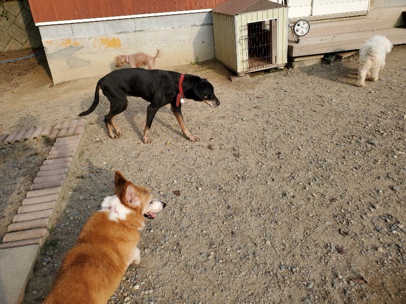 f:id:roukenhome-ann:20191008112943j:plain