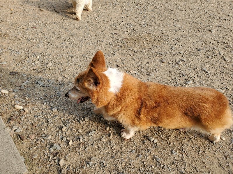 f:id:roukenhome-ann:20191008112951j:plain
