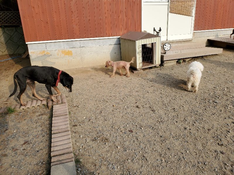f:id:roukenhome-ann:20191008112959j:plain