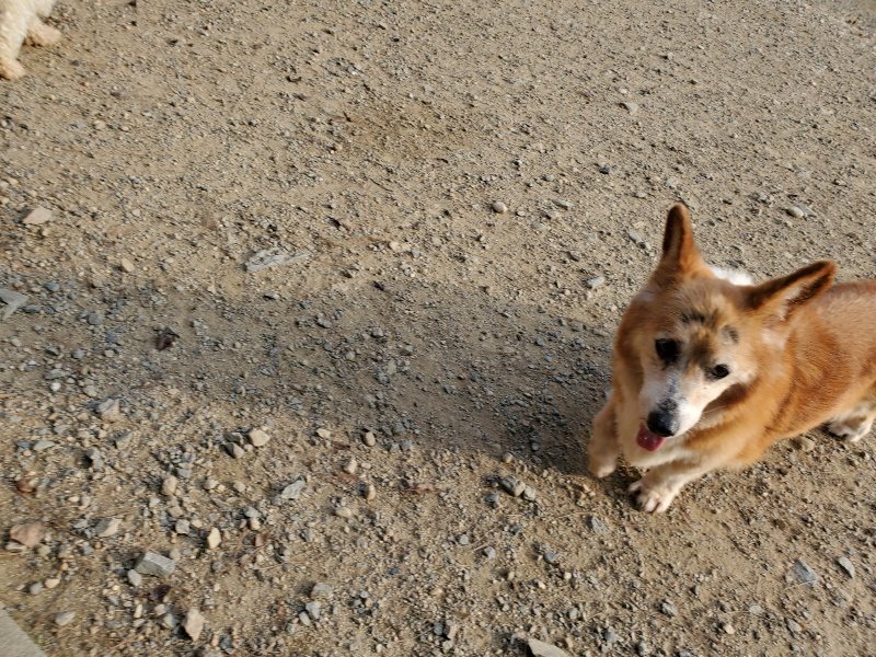 f:id:roukenhome-ann:20191008113016j:plain