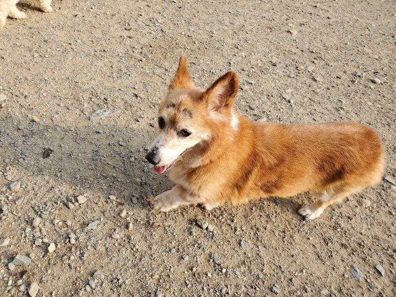 f:id:roukenhome-ann:20191008113032j:plain