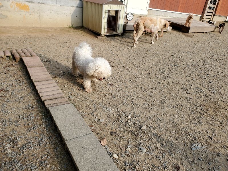 f:id:roukenhome-ann:20191008113057j:plain