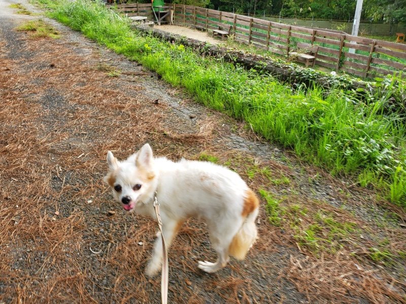 f:id:roukenhome-ann:20191008113336j:plain