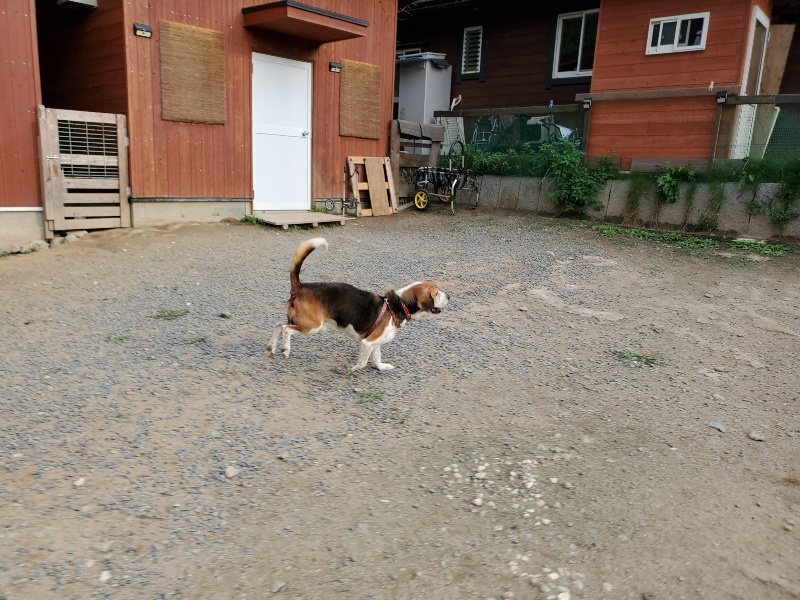 f:id:roukenhome-ann:20191008113432j:plain